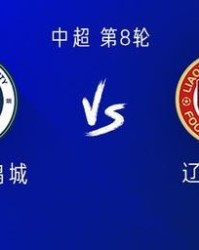 网络游戏平台-新鹏城vs铁人：四外援PK五外援；严鼎皓替补，安以恩首发
