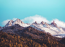 电竞赛事-阿德耶米门前抢点破门，拜尔横传送助攻！多特1-0领先奥格斯堡